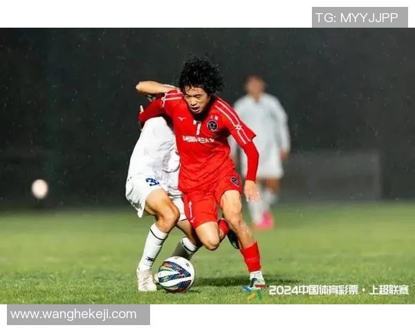 苍南足球明星盘点及其在国内外赛场上的精彩表现与成就分析