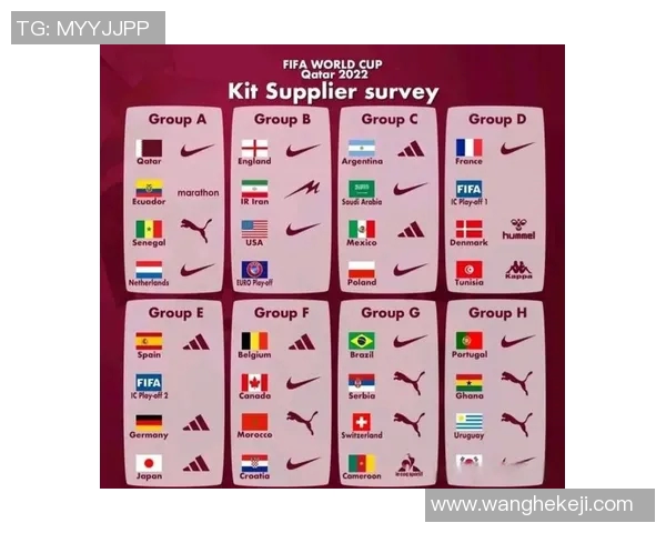 南京羽毛球队在世界杯中的耐力表现分析与启示