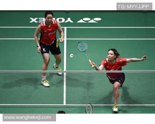 成都羽毛球队在全国锦标赛中的节奏表现分析与点评 成都羽毛球队在全国锦标赛中的节奏表现分析与点评