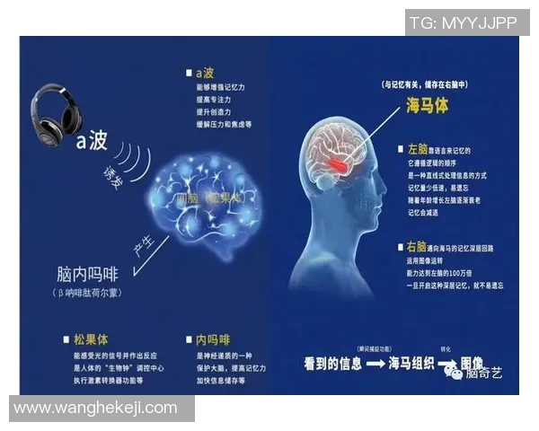 杨军专访:探寻足球成功背后的秘密与经验分享 杨军专访:探寻足球成功背后的秘密与经验分享