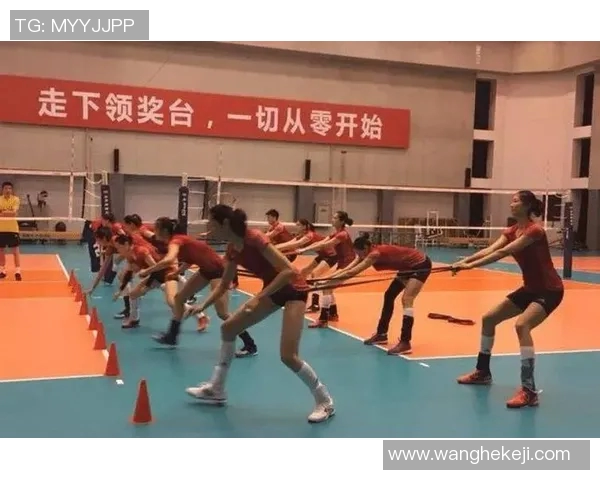 杭州排球队精英赛之路：拼搏与荣耀交织的奋斗故事
