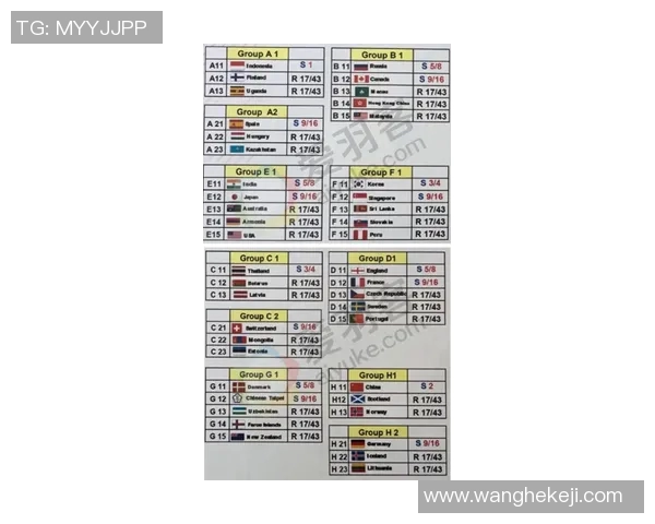 武汉羽毛球队在世界锦标赛积分榜上以65分稳居第一名展现强大实力