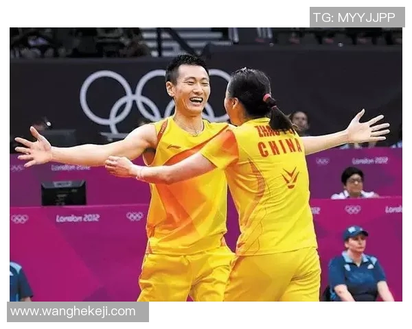 羽毛球战术解析：探秘北京羽毛球队高效转换体系的成功之道