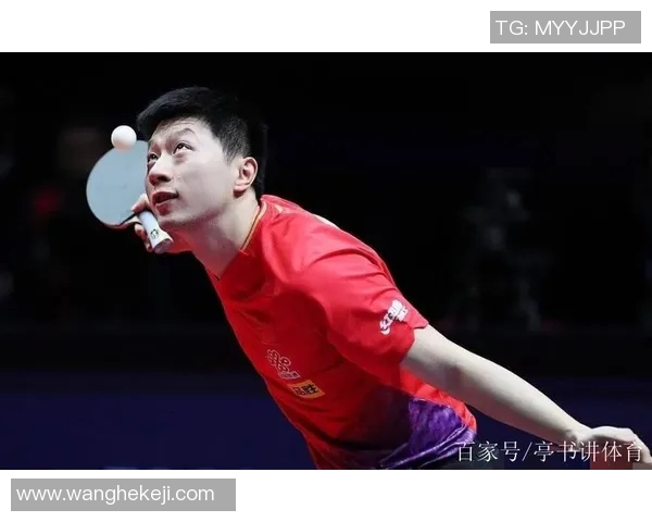 西安乒乓球队灵活性表现的数据分析与战术探讨 西安乒乓球队灵活性表现的数据分析与战术探讨