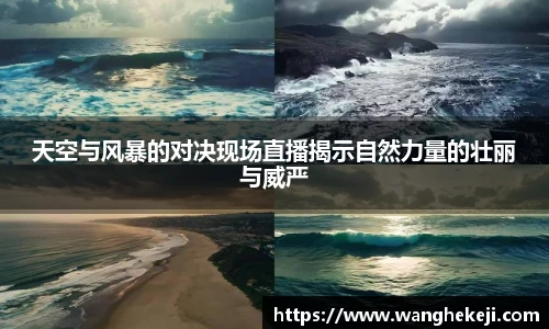 yy易游体育