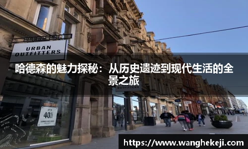 yy体育